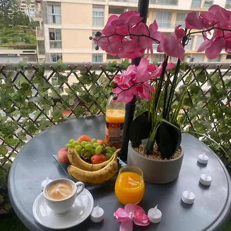 Apartment 1 Piece Pointe De La Croisette A